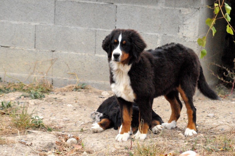 Publication : du berceau de bfamily