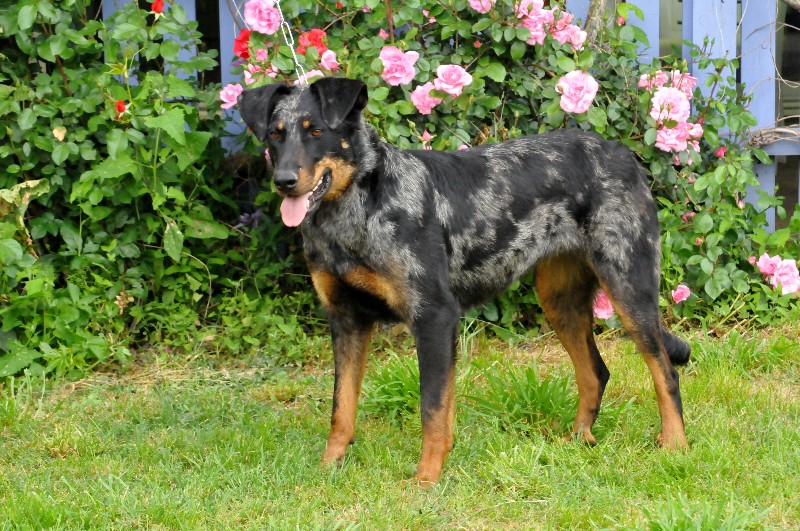 Publication : du berceau de bfamily Auteur : j.Avelin