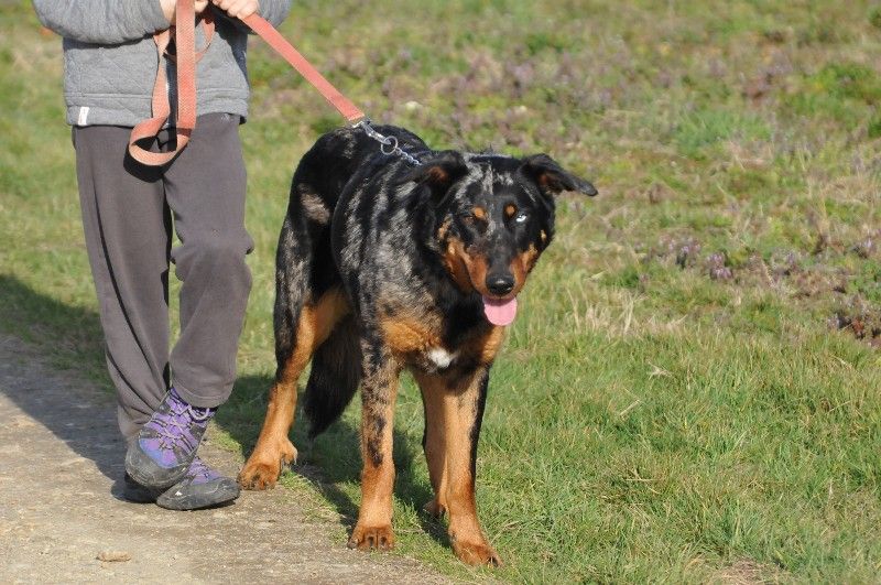 Publication : du berceau de bfamily