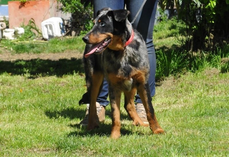 Publication : du berceau de bfamily