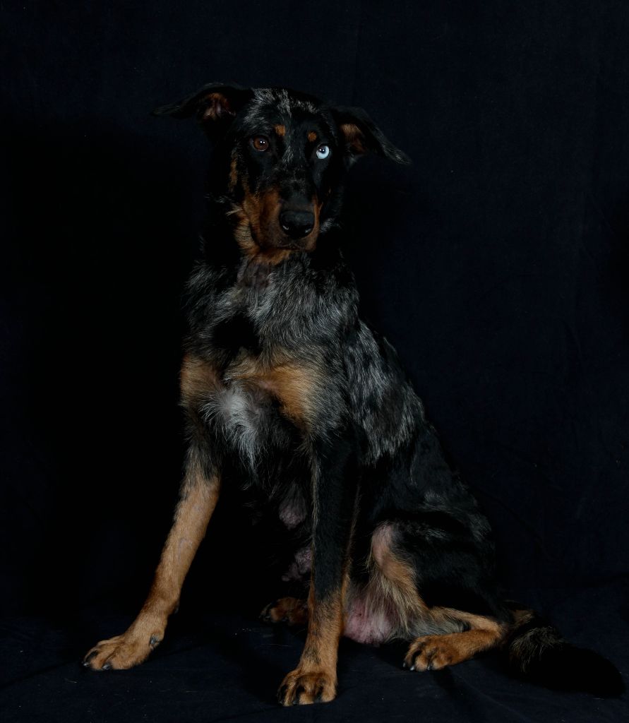 Publication : du berceau de bfamily