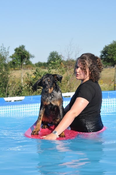 Publication : du berceau de bfamily Auteur : j.Avelin