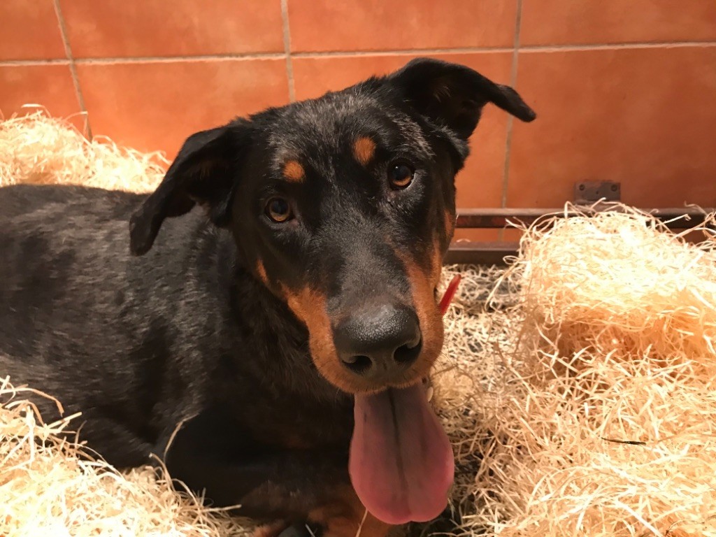 Publication : du berceau de bfamily