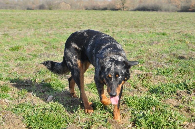 Publication : du berceau de bfamily