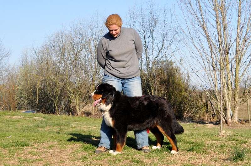 Publication : du berceau de bfamily