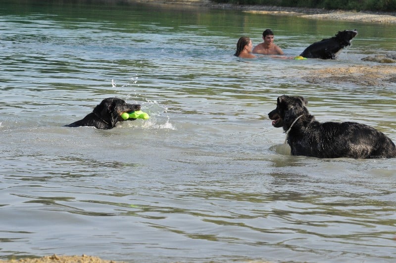 Publication : du berceau de bfamily Auteur : j.Avelin