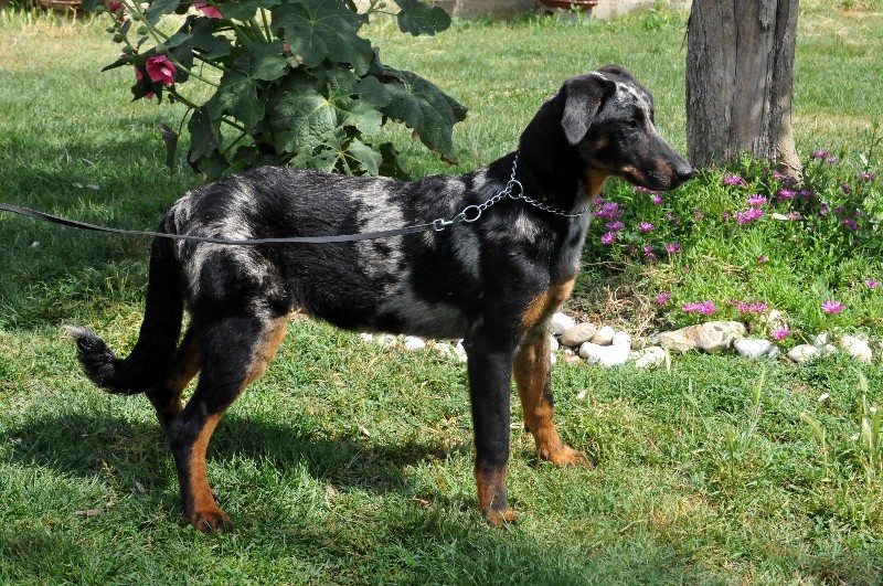 Publication : du berceau de bfamily Auteur : j.Avelin