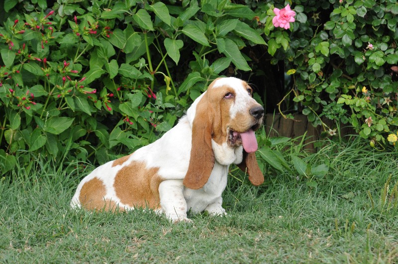 Publication : du berceau de bfamily Auteur : j.avelin