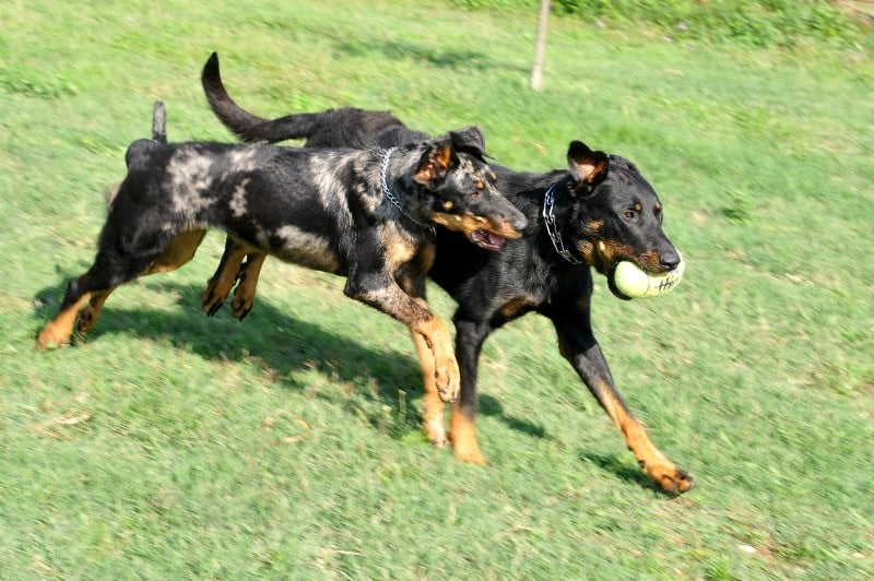 Publication : du berceau de bfamily Auteur : j.Avelin