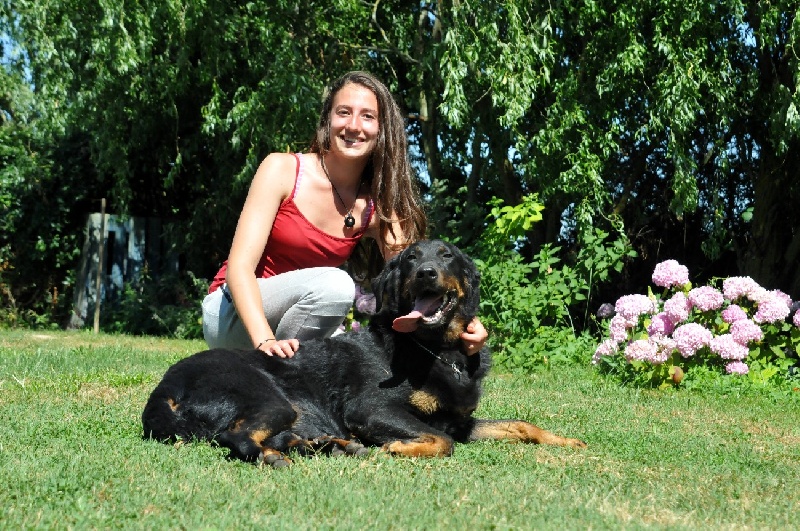 Gazelle du berceau de bfamily