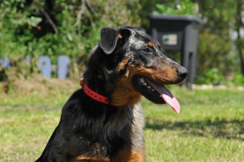 Publication : du berceau de bfamily