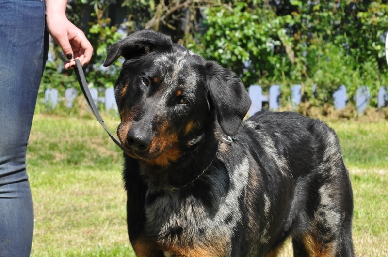 Publication : du berceau de bfamily Auteur : j.Avelin