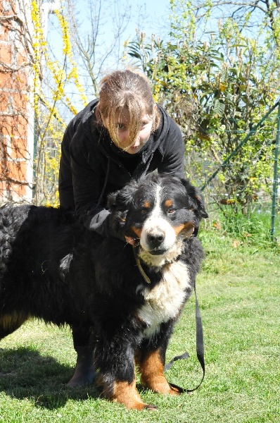 Gariguette ramène sa fraise du berceau de bfamily