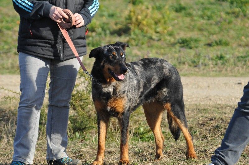 Publication : du berceau de bfamily