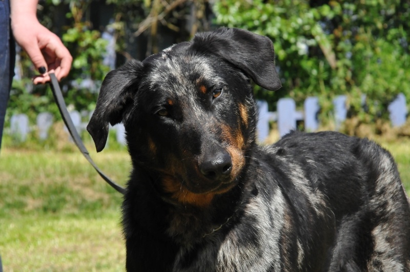 Publication : du berceau de bfamily Auteur : j.Avelin