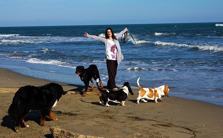 Publication : du berceau de bfamily Auteur : j.avelin