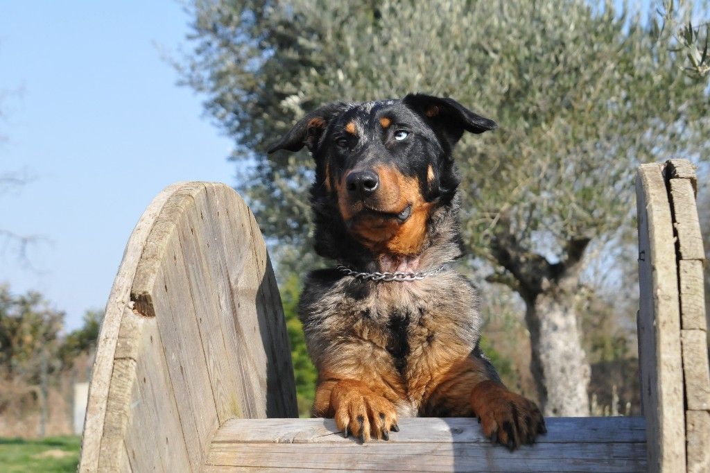 Publication : du berceau de bfamily