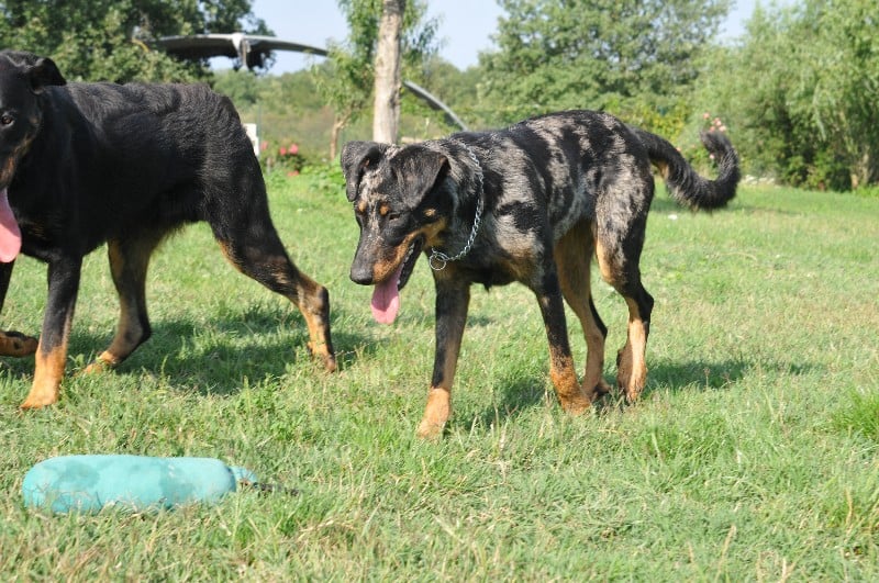 Publication : du berceau de bfamily Auteur : j.Avelin