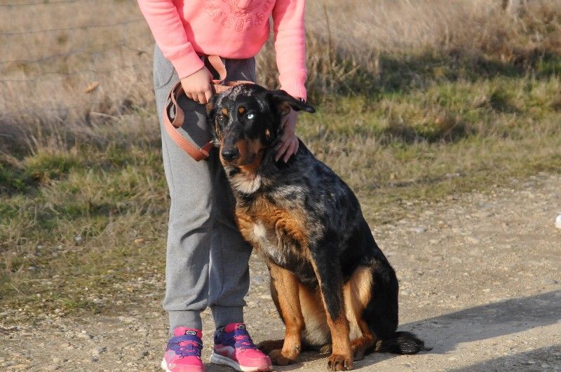 Publication : du berceau de bfamily