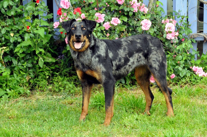 Publication : du berceau de bfamily Auteur : j.Avelin