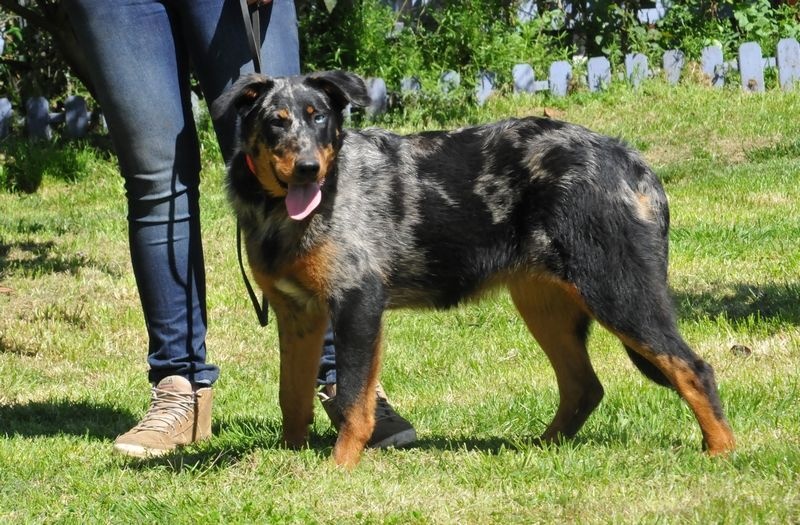 Publication : du berceau de bfamily