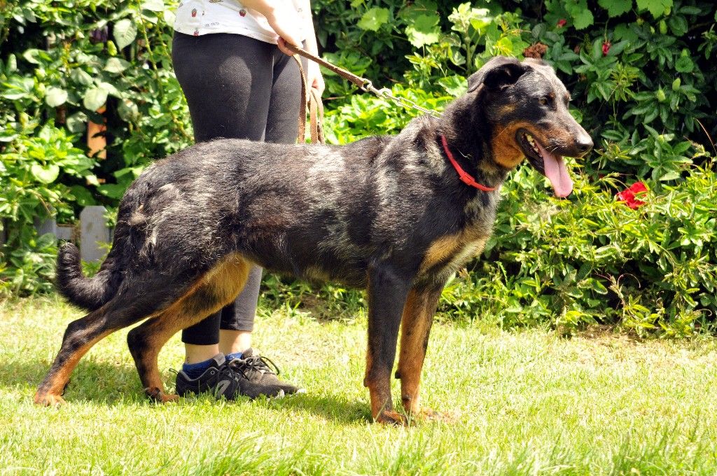 Publication : du berceau de bfamily Auteur : j.Avelin