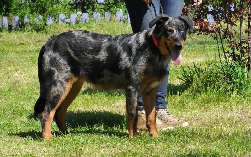 Publication : du berceau de bfamily