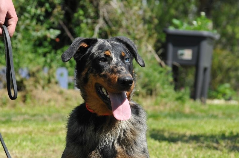 Publication : du berceau de bfamily