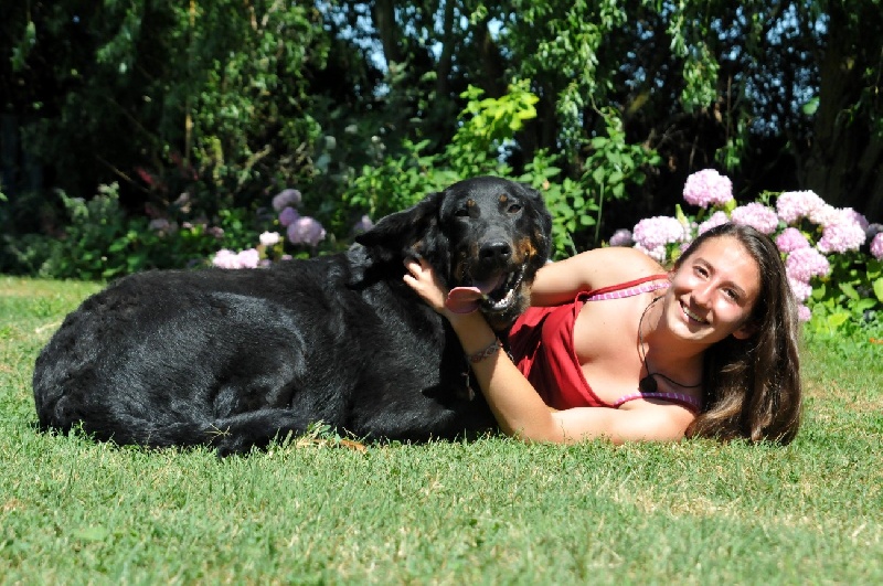 Gazelle du berceau de bfamily