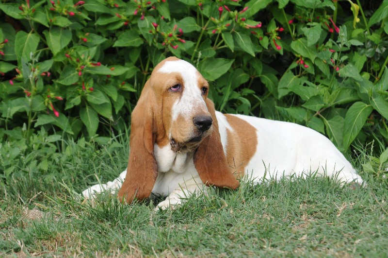 Publication : du berceau de bfamily Auteur : j.avelin