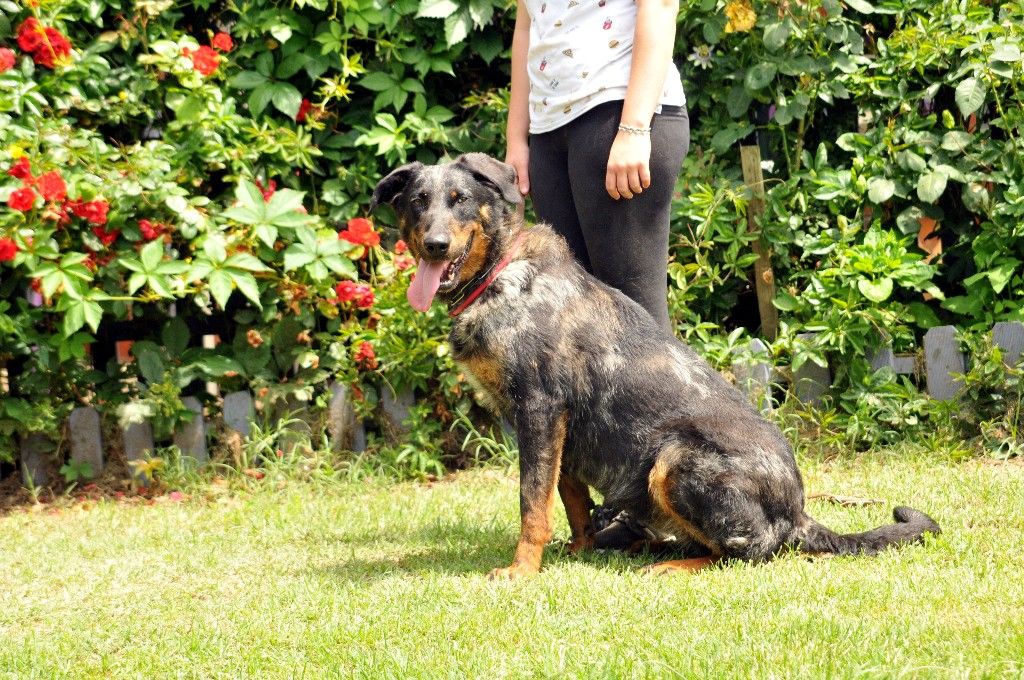 Publication : du berceau de bfamily Auteur : j.Avelin