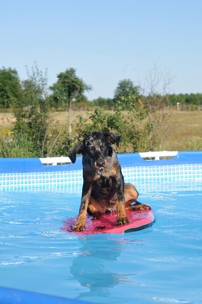 Publication : du berceau de bfamily Auteur : j.Avelin