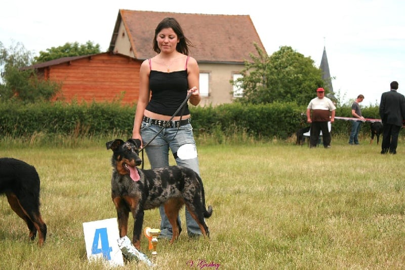 Publication : du berceau de bfamily Auteur : j.Avelin