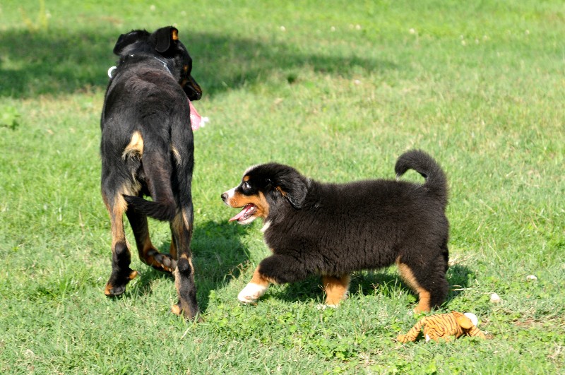 Publication : du berceau de bfamily