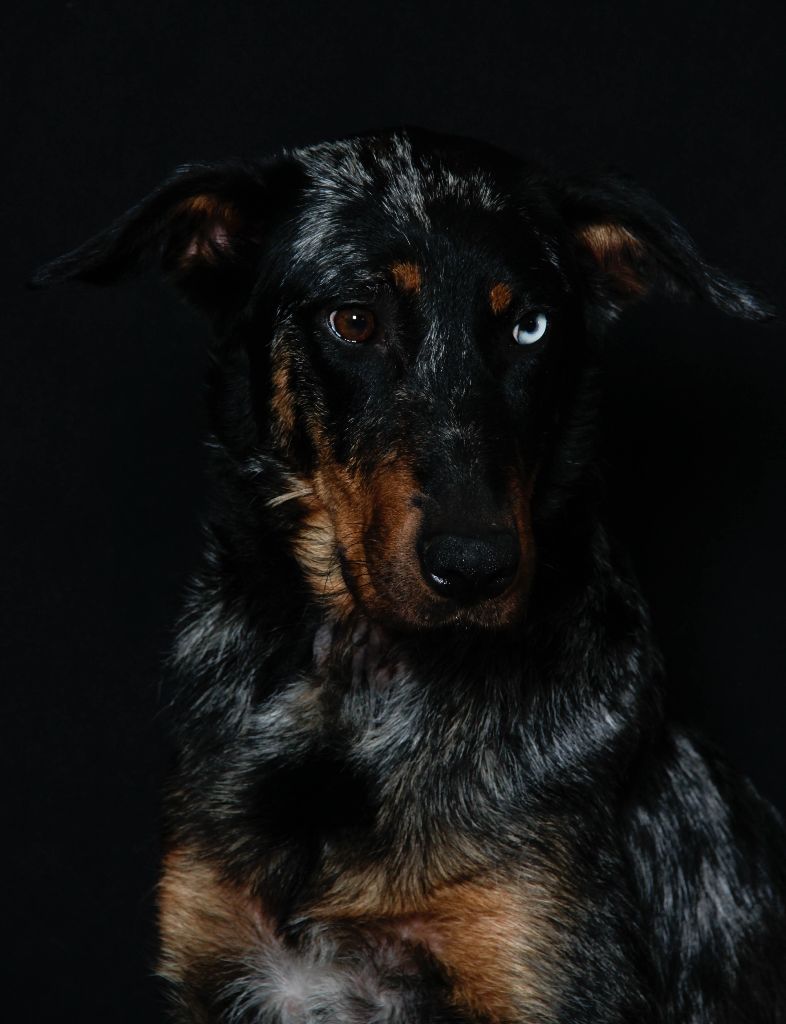 Publication : du berceau de bfamily