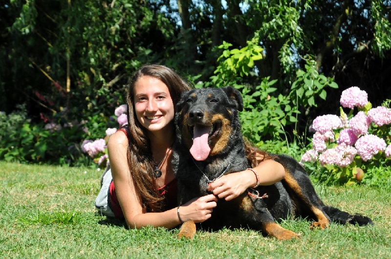 Publication : du berceau de bfamily Auteur : j.Avelin