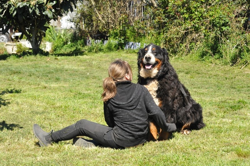 Gariguette ramène sa fraise du berceau de bfamily