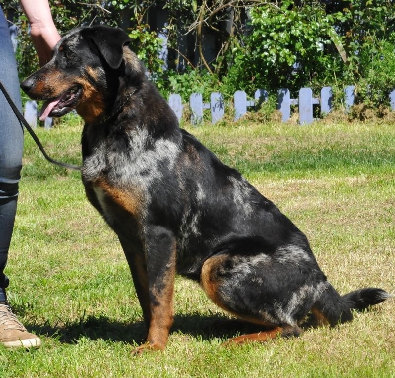 Publication : du berceau de bfamily Auteur : j.Avelin