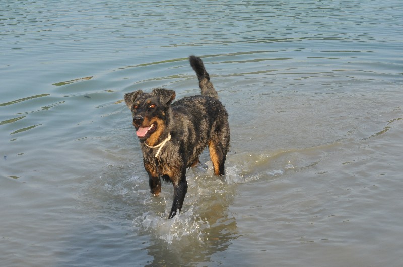 Publication : du berceau de bfamily Auteur : j.Avelin