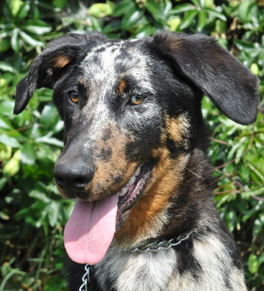 Publication : du berceau de bfamily Auteur : j.Avelin