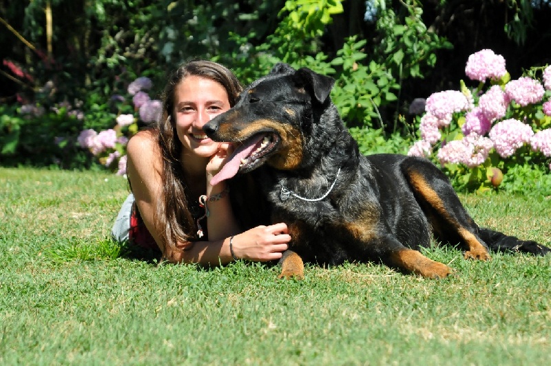 Publication : du berceau de bfamily Auteur : j.Avelin