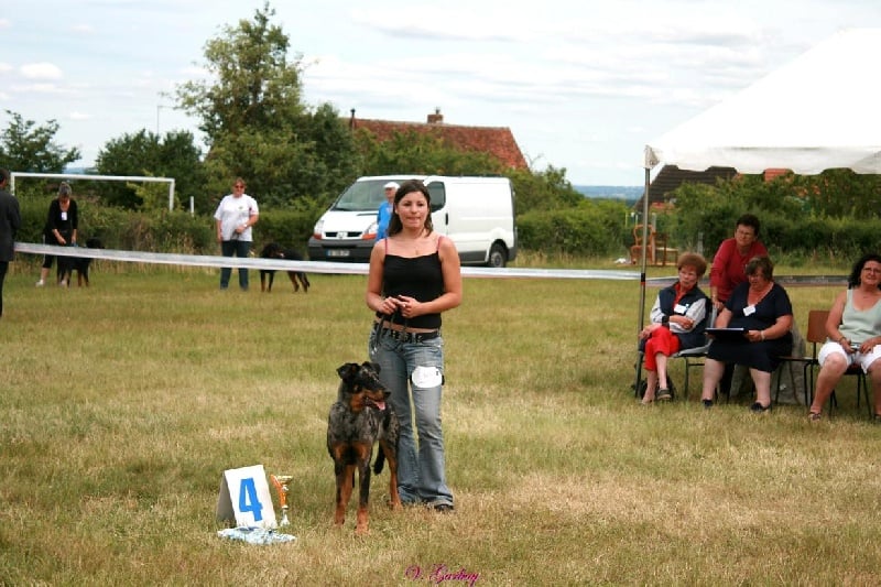 Publication : du berceau de bfamily Auteur : j.Avelin