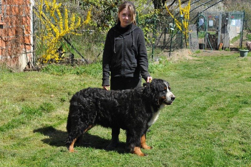 Gariguette ramène sa fraise du berceau de bfamily
