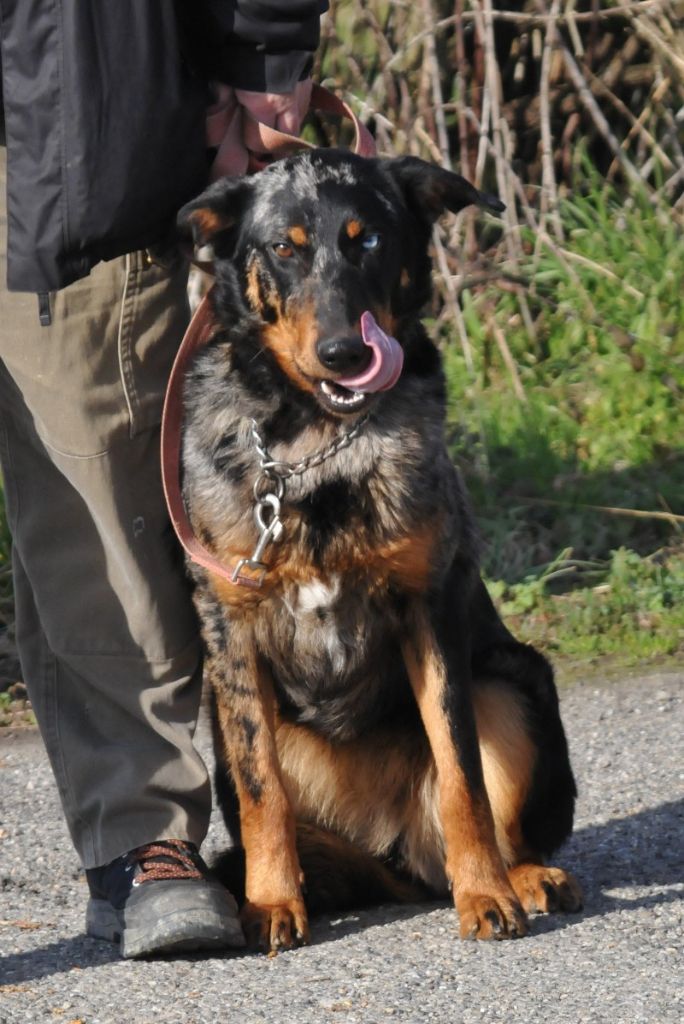 Publication : du berceau de bfamily