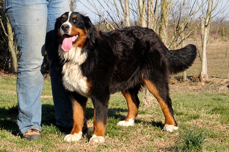 Publication : du berceau de bfamily