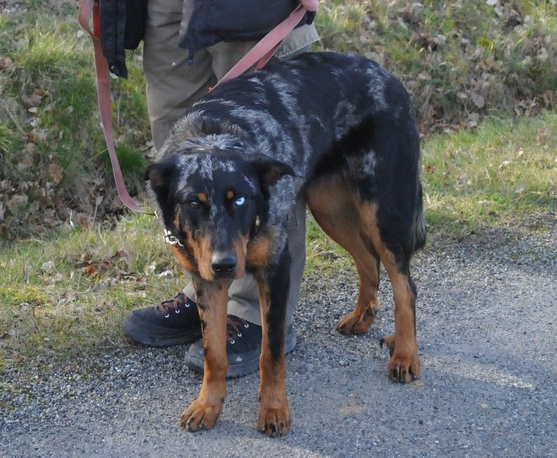 Publication : du berceau de bfamily