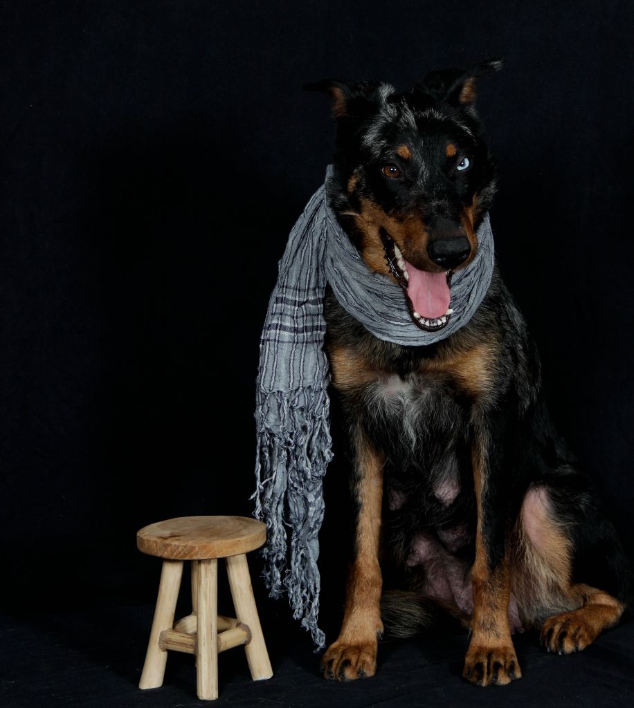 Publication : du berceau de bfamily