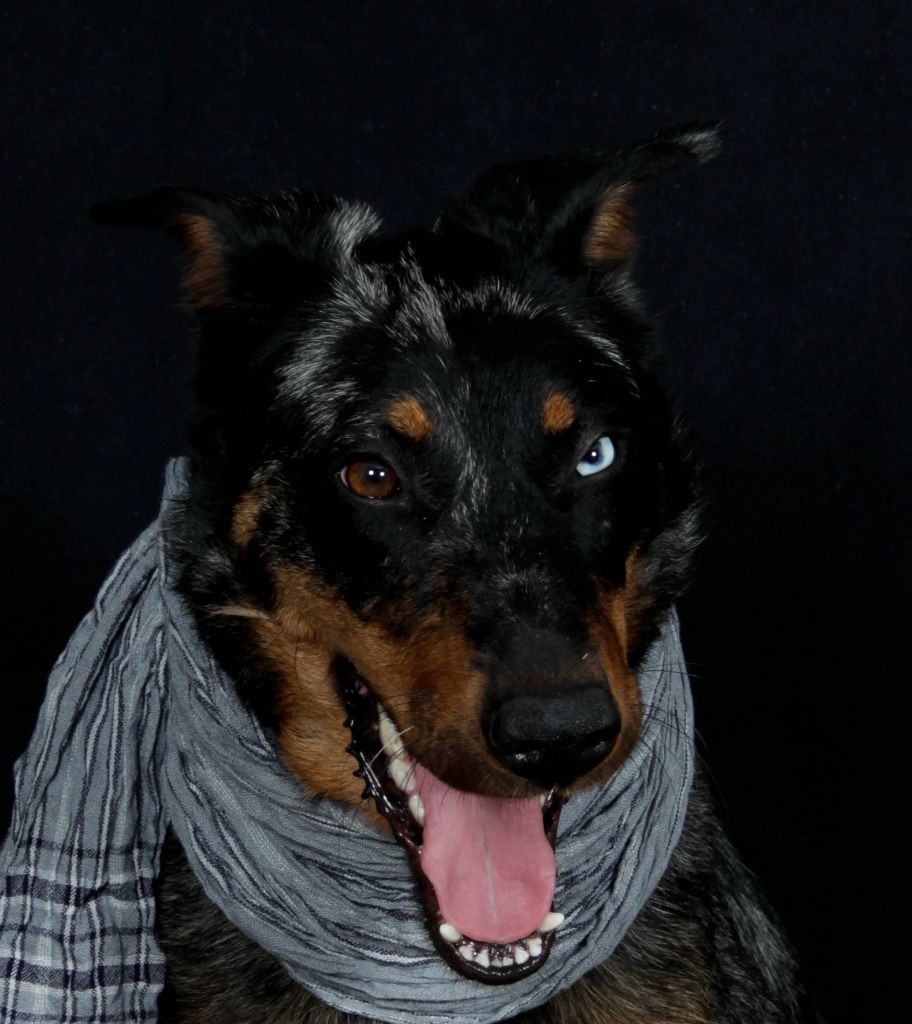 Publication : du berceau de bfamily