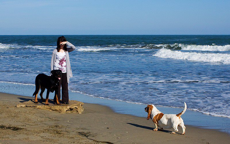 Publication : du berceau de bfamily Auteur : j.avelin