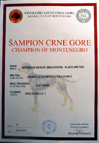 Publication : du berceau de bfamily Auteur : j.Avelin